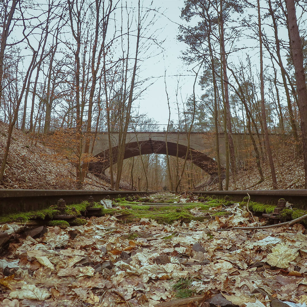 Carry On | Un recorrido diferente por Alemania
