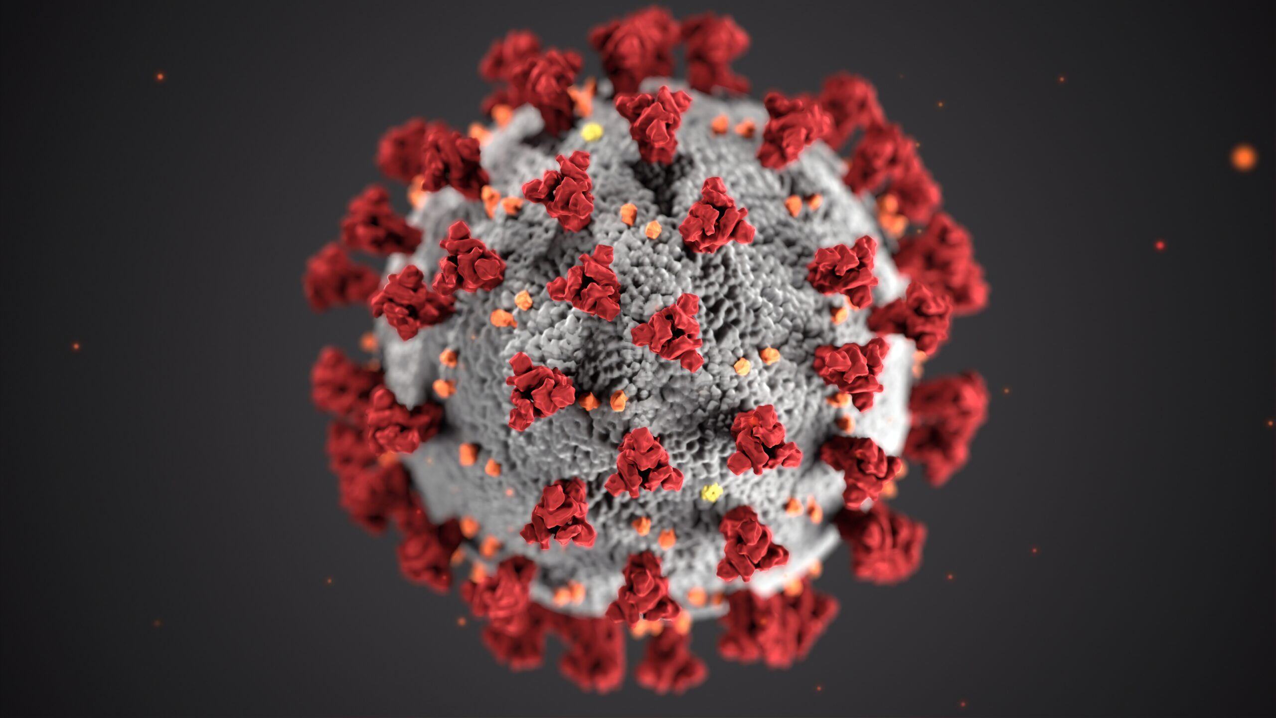 Nueva cepa de coronavirus: más de 30 países cierran sus fronteras al Reino Unido