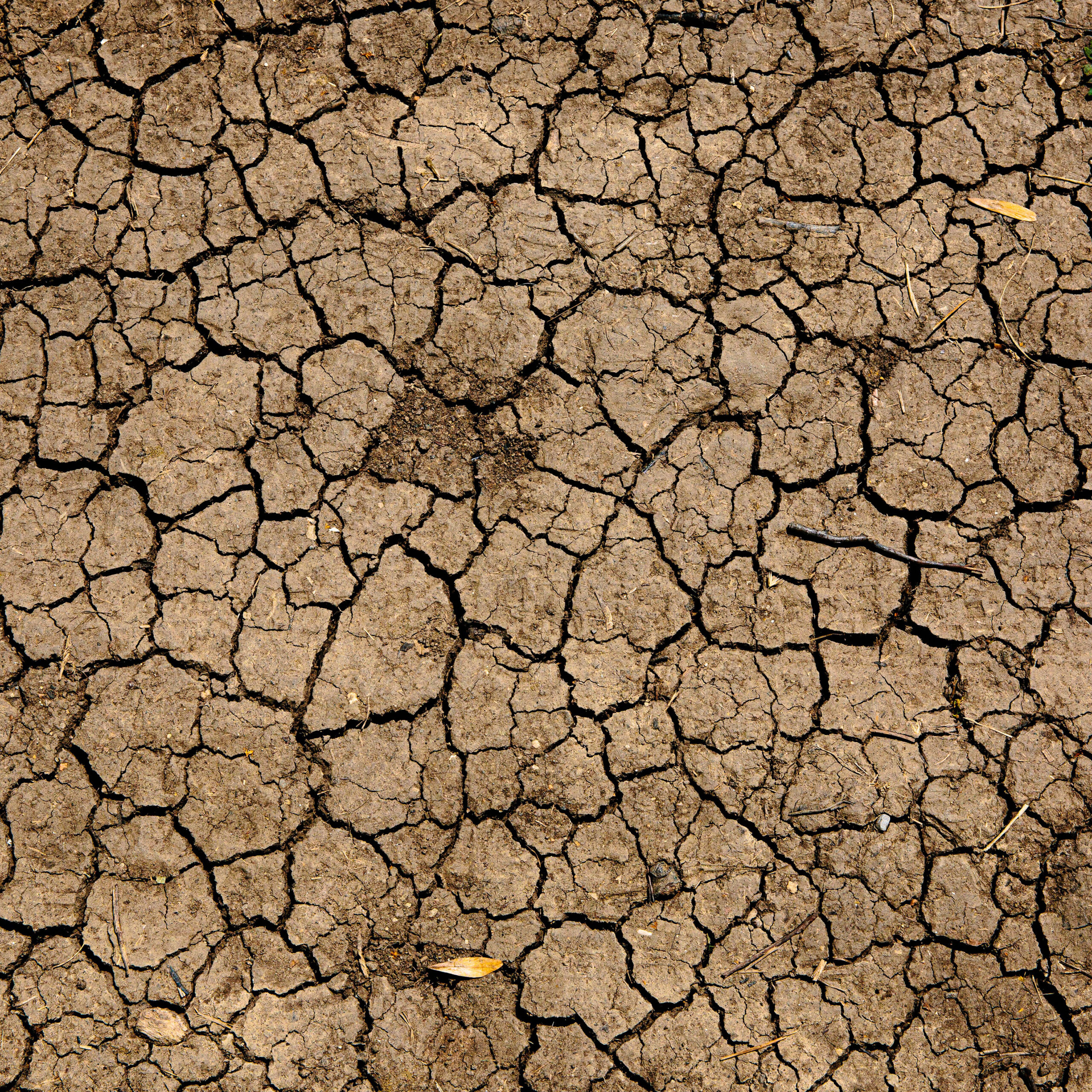 Cambio climático y calentamiento global