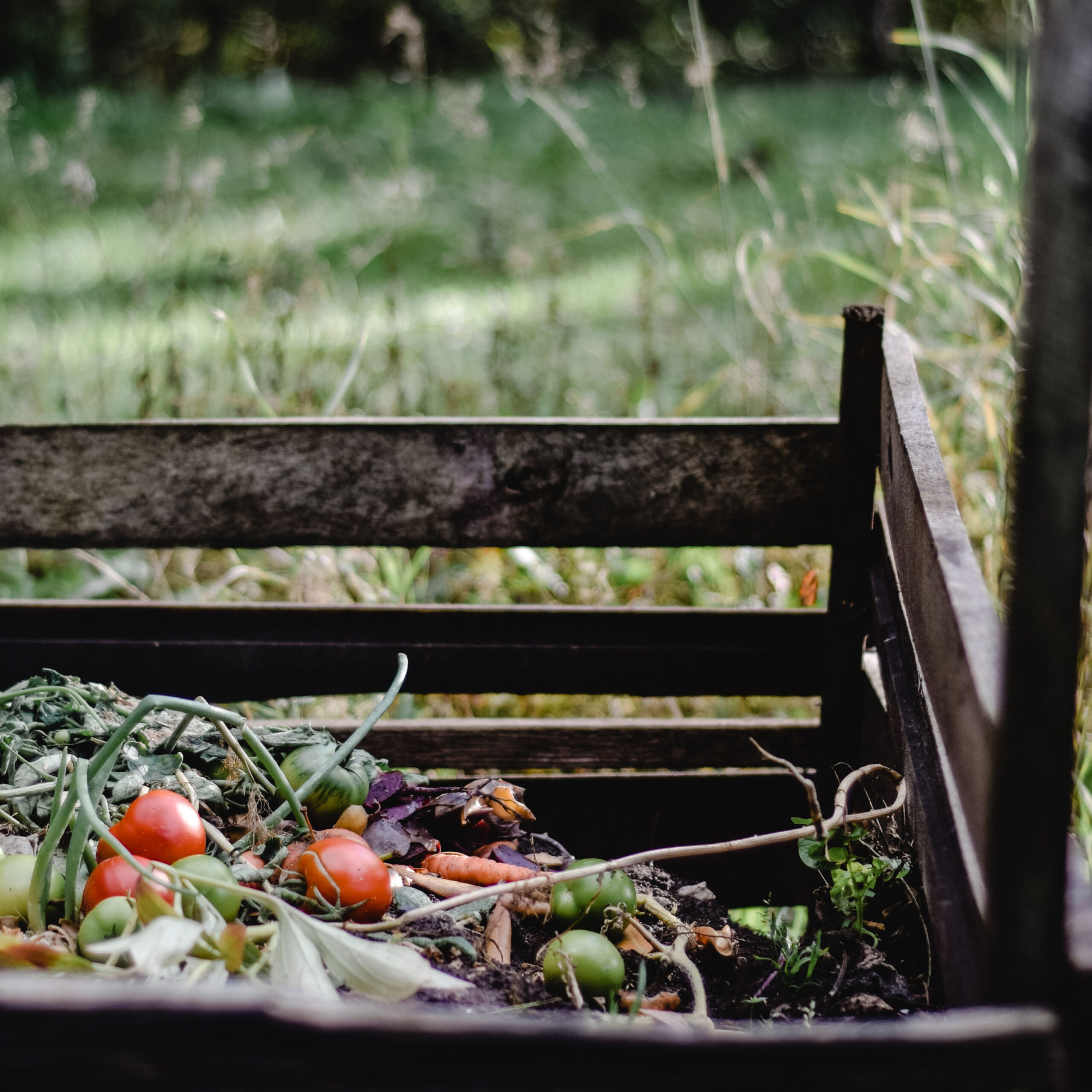 Compost en casa