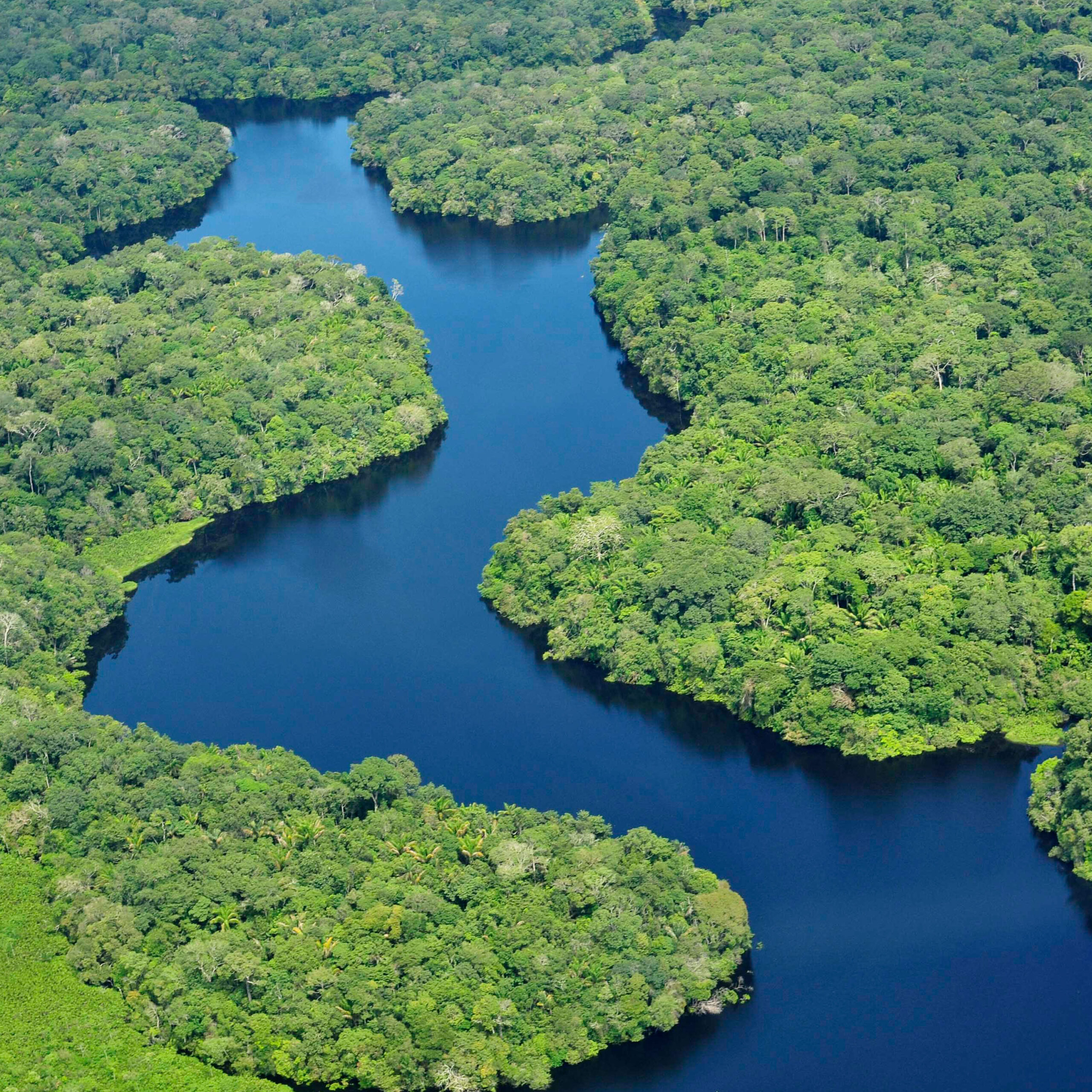 El Amazonas con Sonido 8D