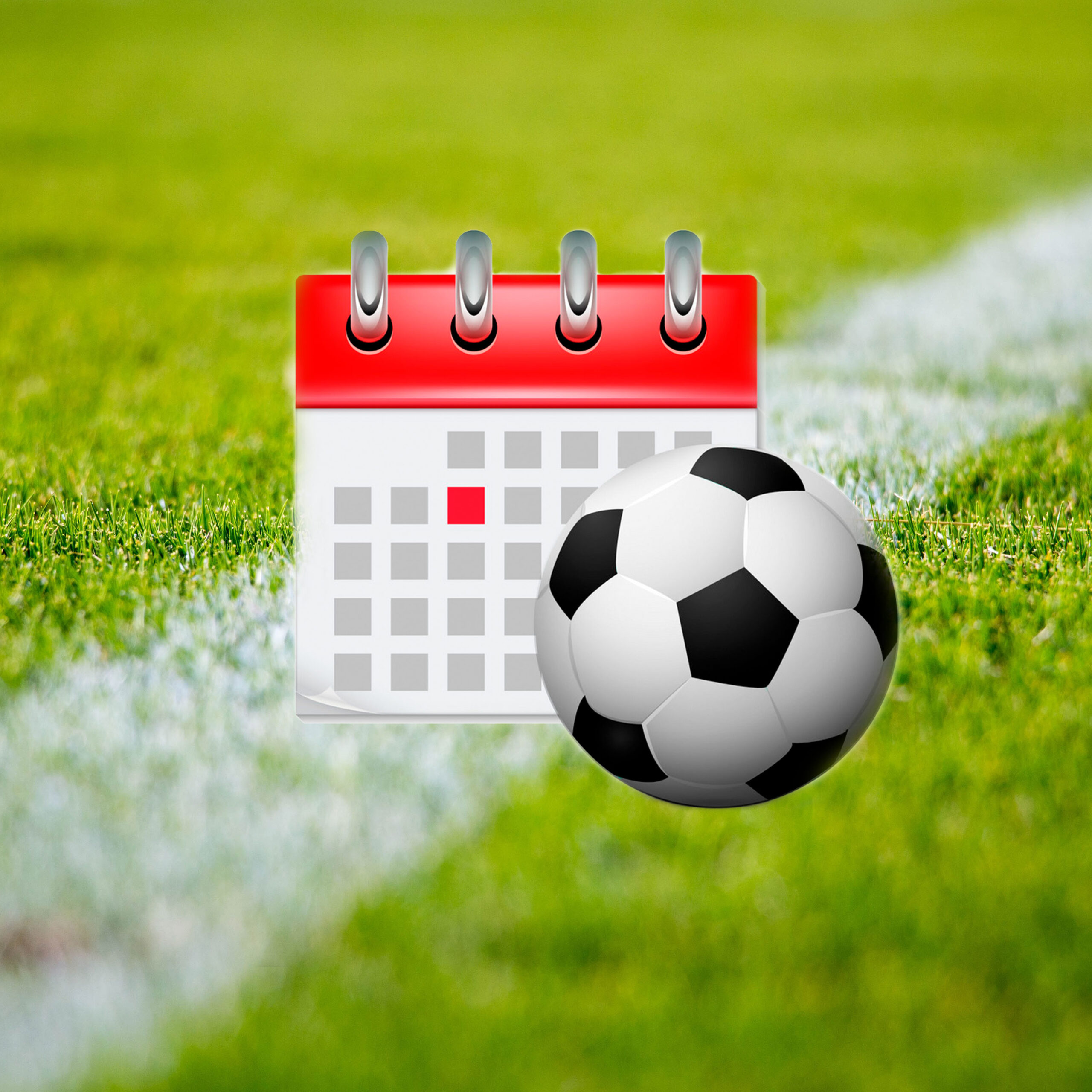 ¿Cómo se arma el fixture para el campeonato argentino?
