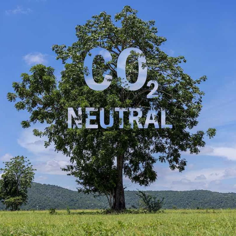 ¿Cómo viene la transición energética?