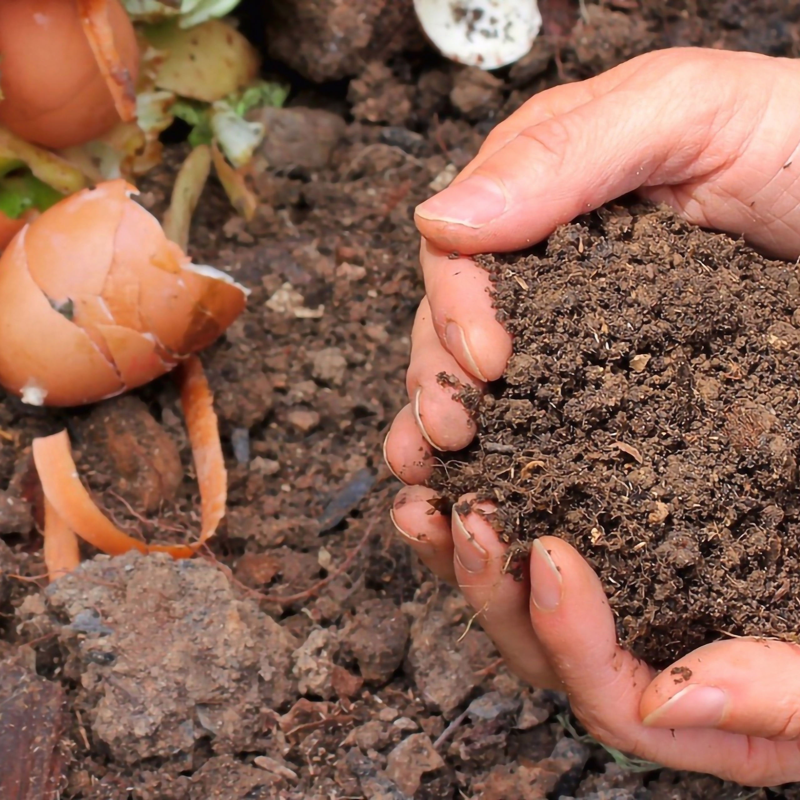 Compost en casa
