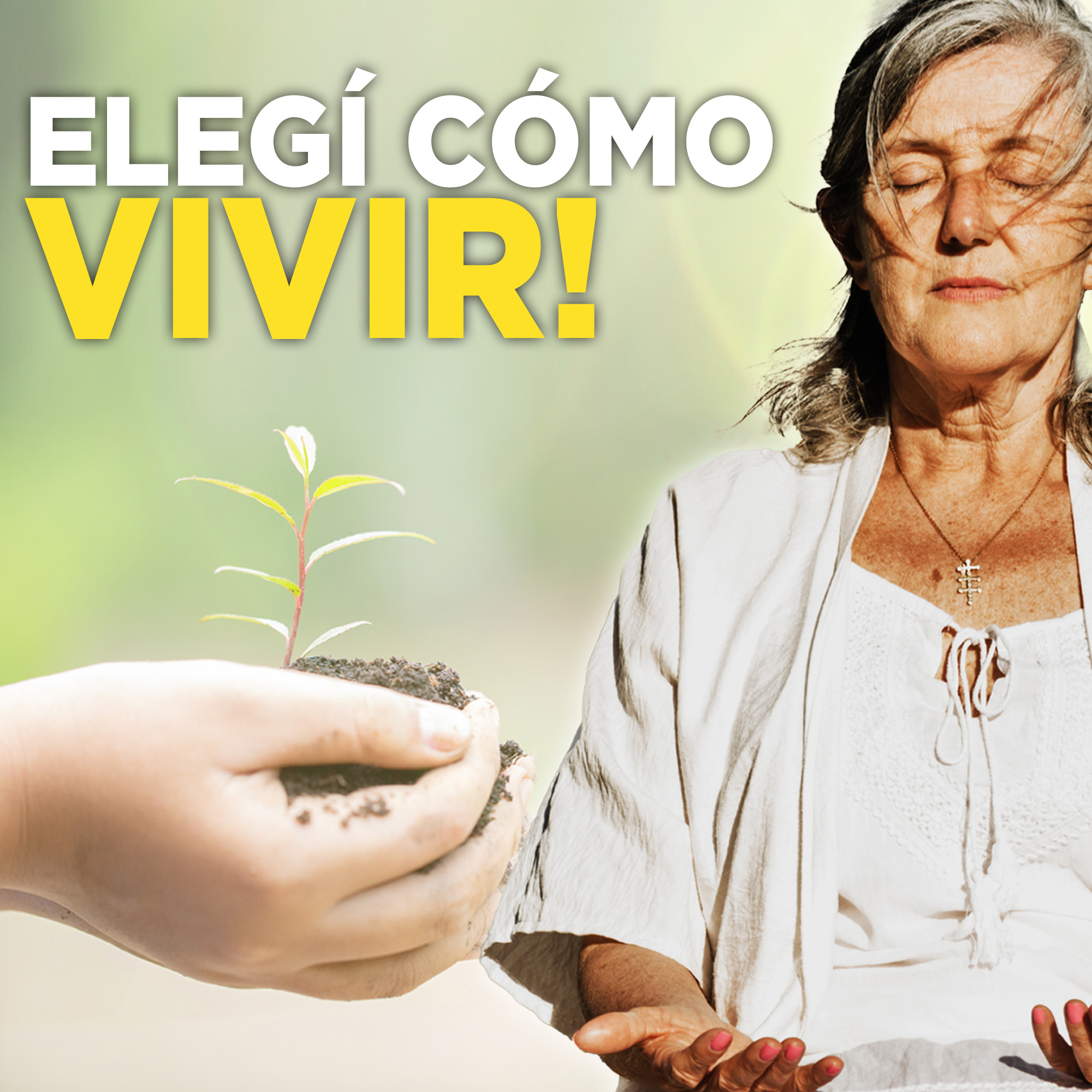 Los SIMPLES PASOS a la FELICIDAD