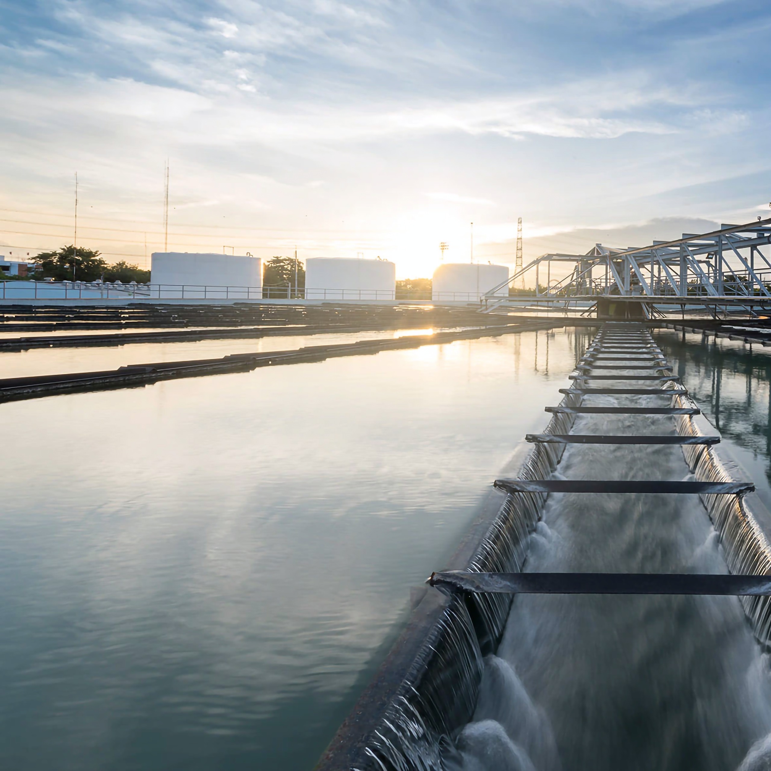 Agua y Energía: ¿por qué cantar bajo la ducha gasta electricidad?