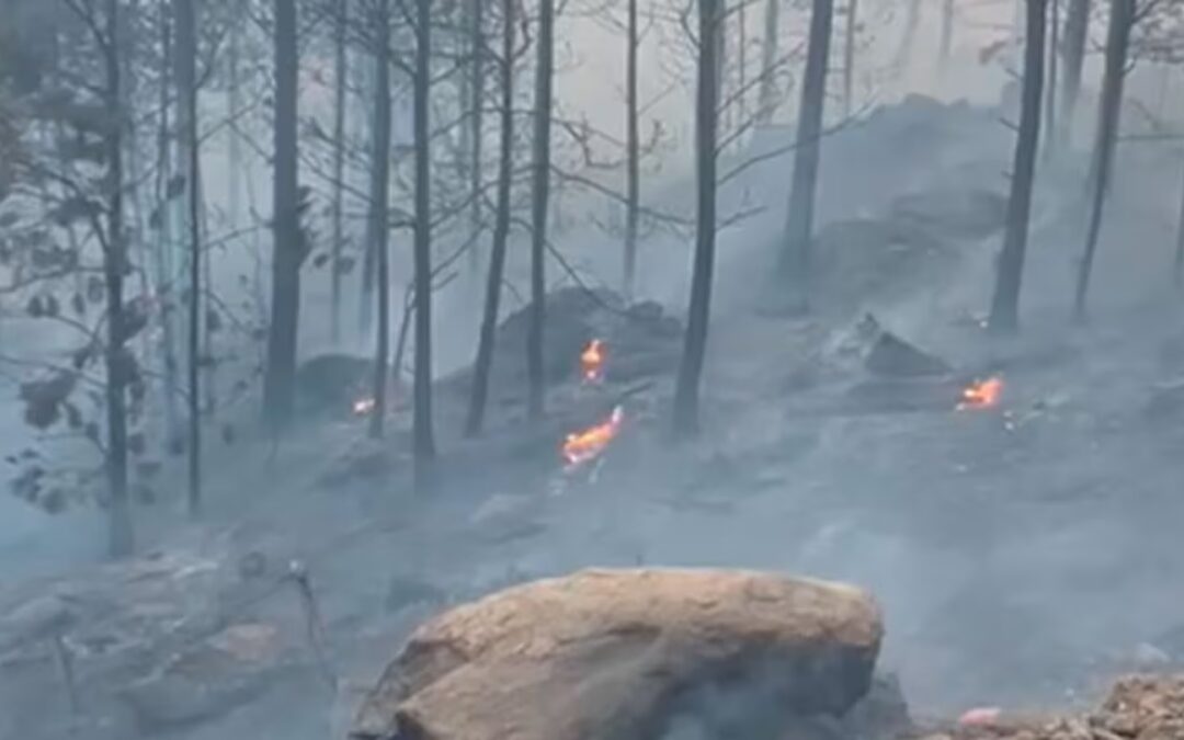 Graves incendios en Córdoba