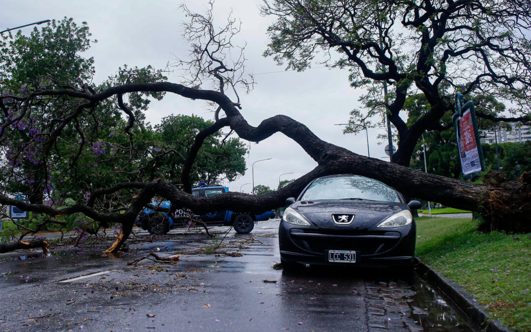 Temporal en el AMBA provoca cortes de luz y daños estructurales